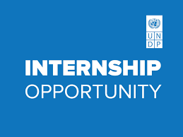 Based): $1000USD Monthly Stipend Available