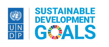United Nations Development Programme (UNDP)