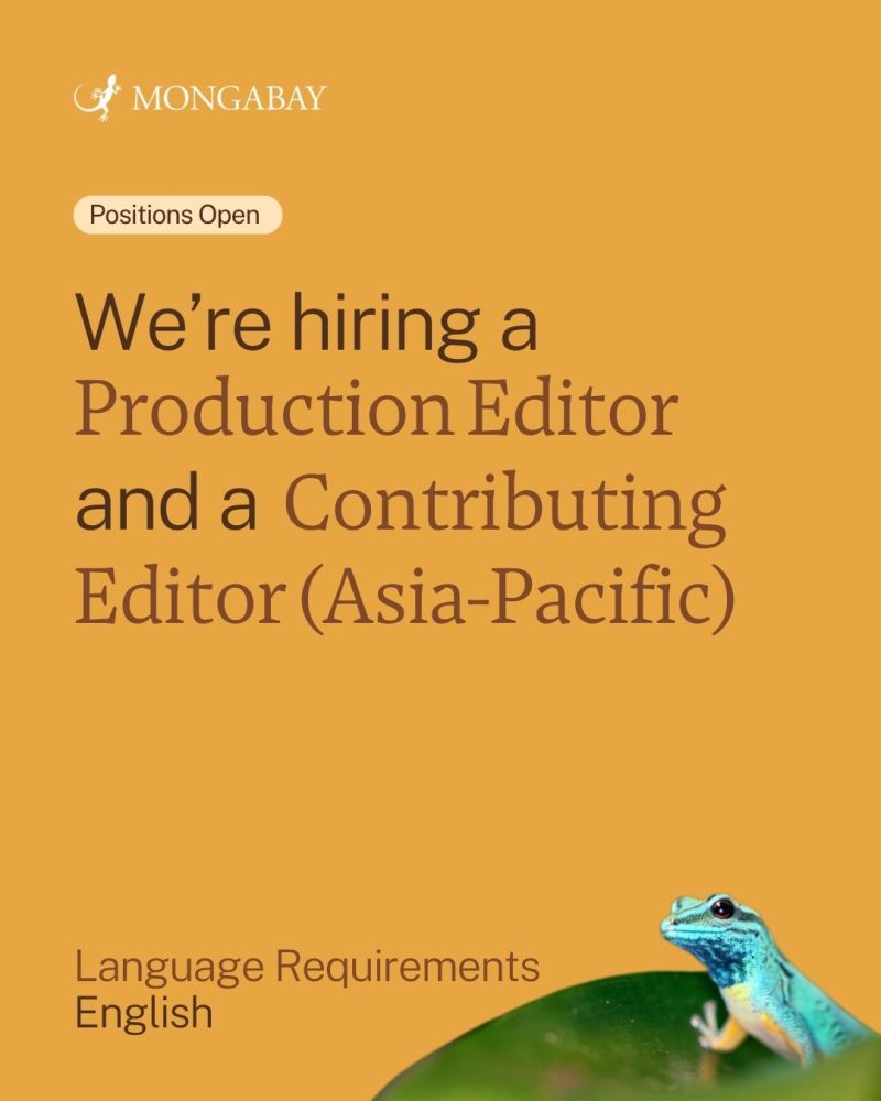 2 Remote Roles Now Open