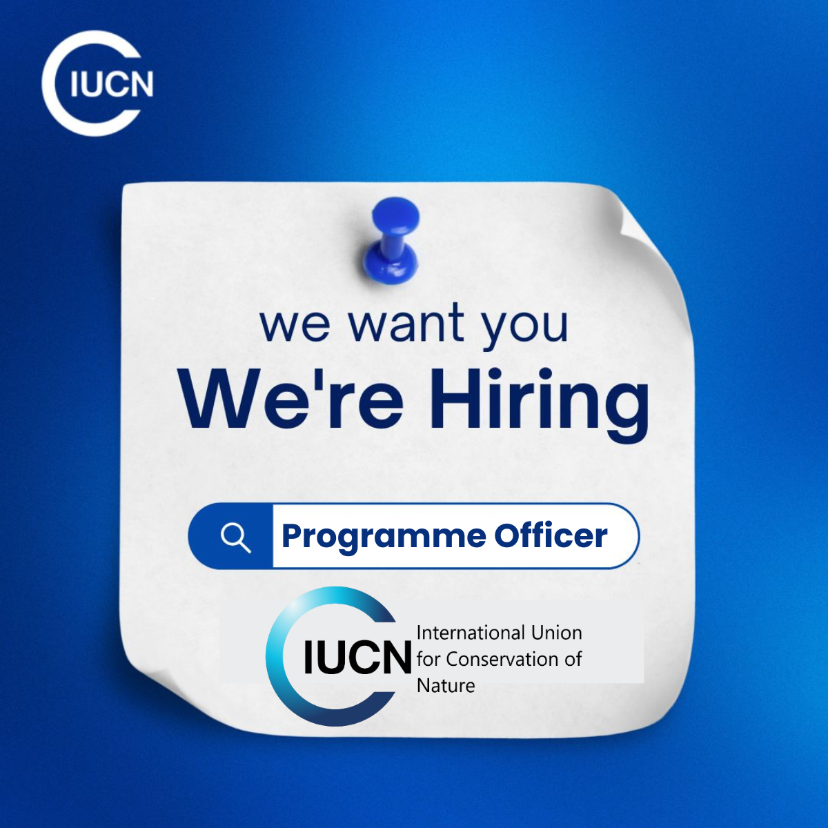 Kenya: Apply by 09 March 2026