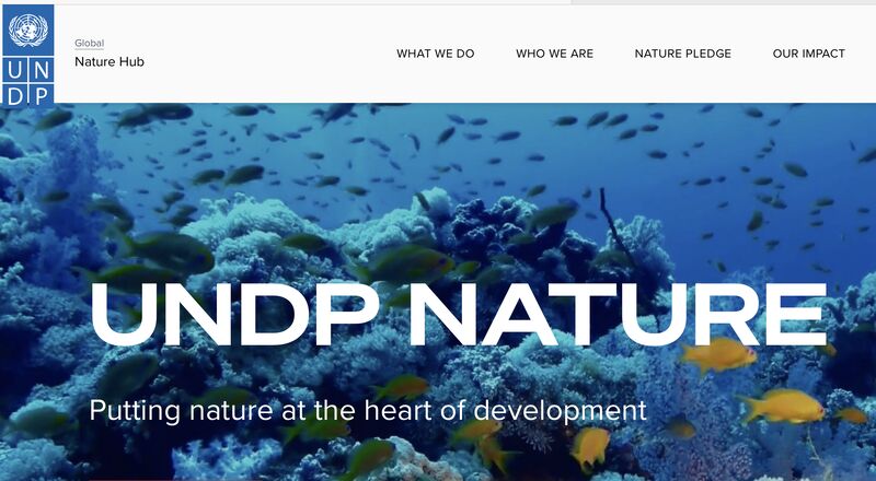 UNDP Nature Hub -Blue Resilience Intern ($1000USD Monthly Stipend)