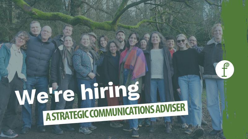 Fern in Brussels, Belgium: Monthly Salary €4,315 – €5,674 plus €8 Daily Lunch Voucher