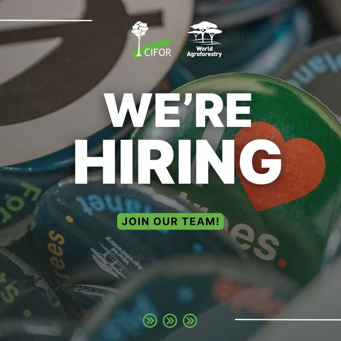 ICRAF is Seeking for an IKI Capacity Development &amp; Stakeholder Engagements Coordinator – Apply By 31 May 2026