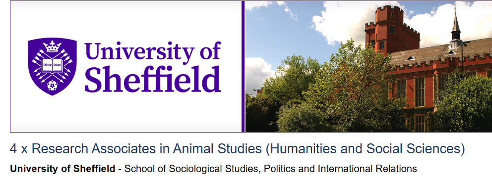the University of Sheffield (Salary up to £47,389)