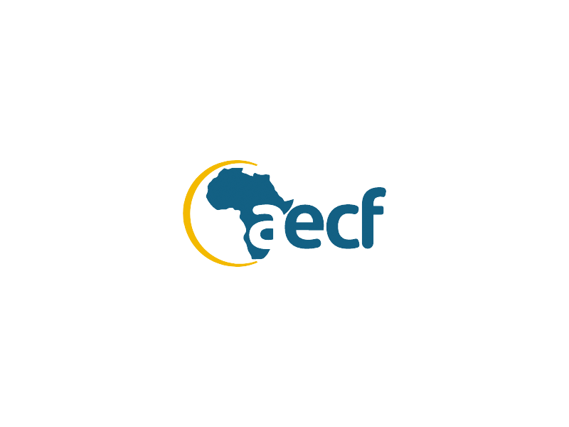 Digital Innovation Fund for Energy &amp; Climate Programme (DIFEC)