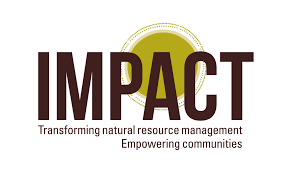 IMPACT: Remote Position is Open to Candidates based in Africa, Europe, or the Americas (Apply by 1 Apr)