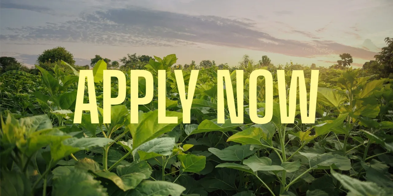 Development Innovation Ventures Fund