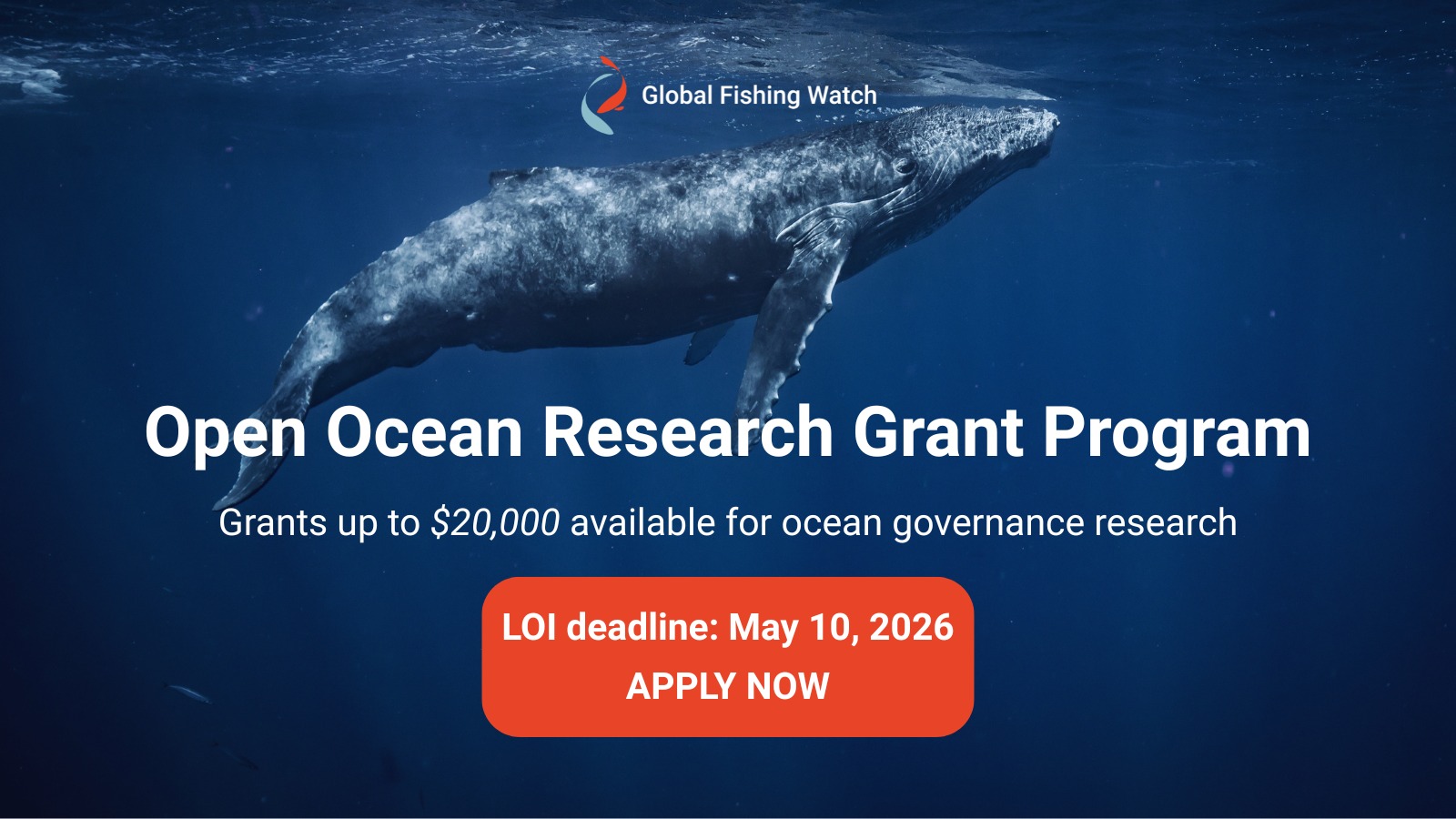 Global Fishing Watch