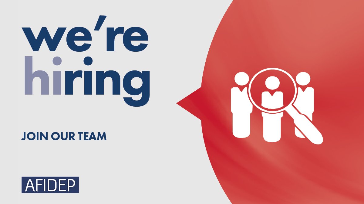 The African Institute for Development Policy