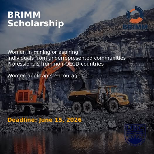 BRIMM