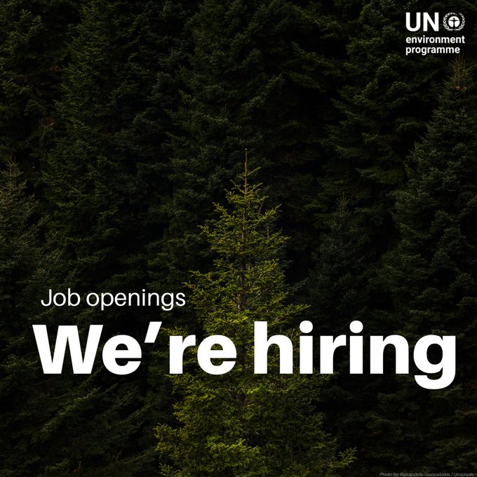 United Nations Environment Programme (UNEP)