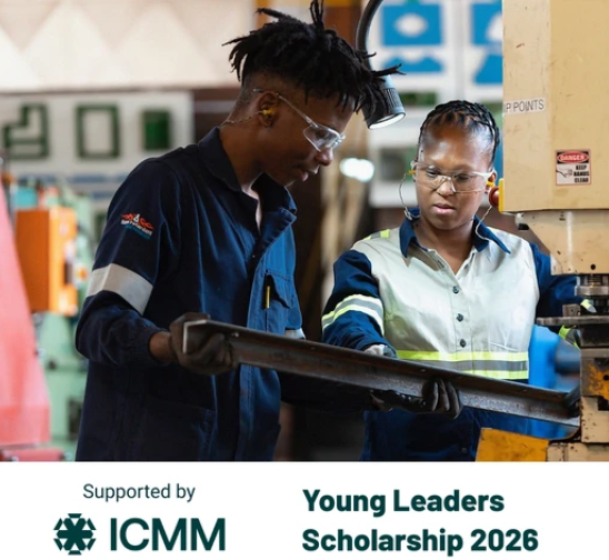 International Council on Mining and Metals (ICMM)