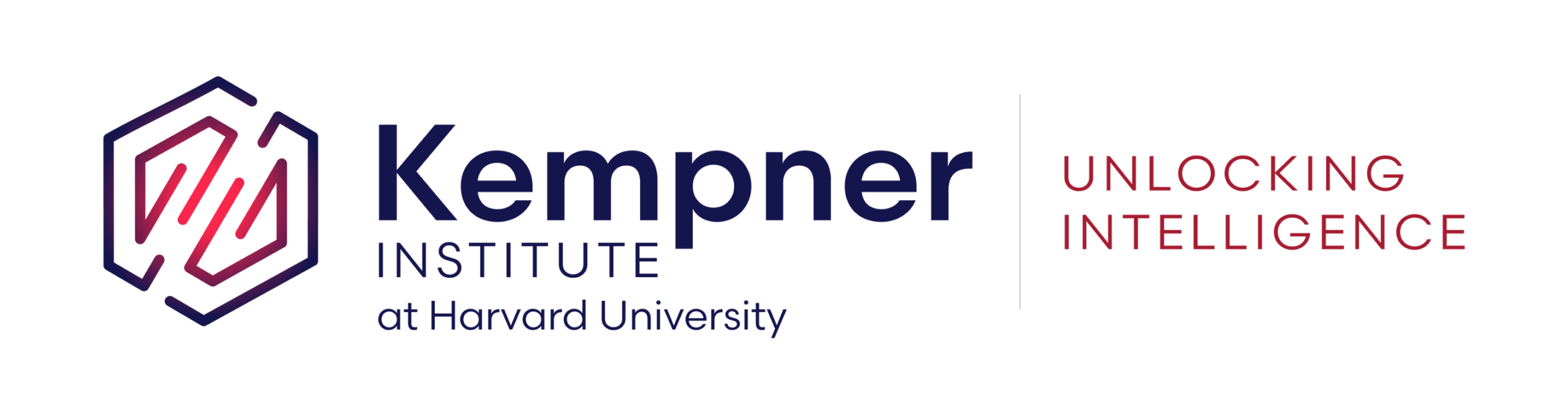 Kempner Institute for the Study of Natural and Artificial Intelligence