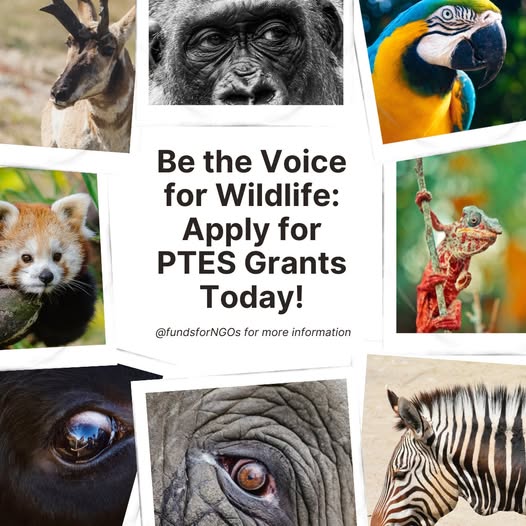 People’s Trust for Endangered Species (PTES)