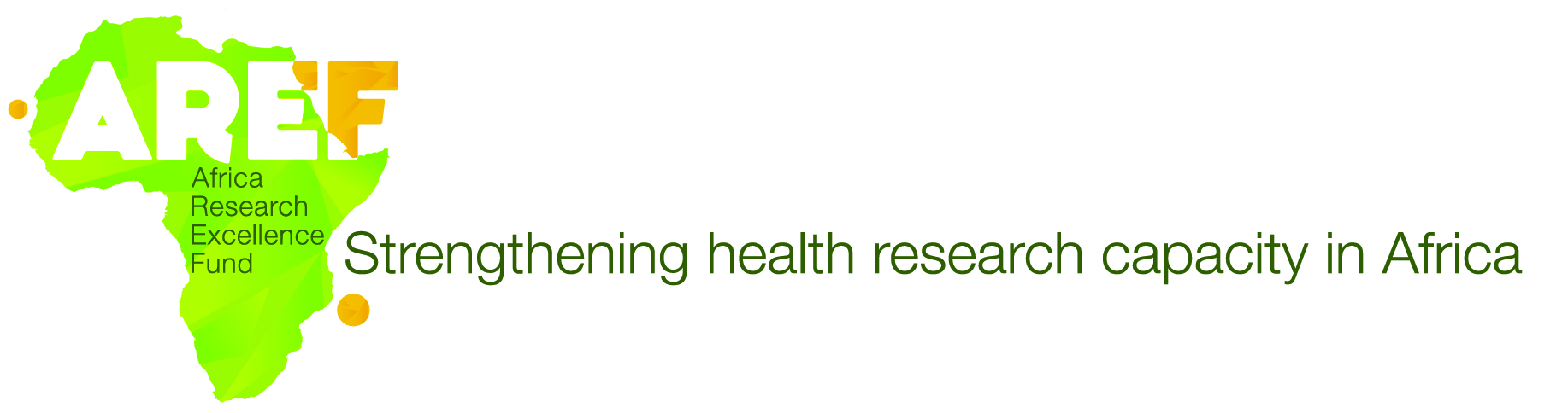 Africa Research Excellence Fund (AREF)