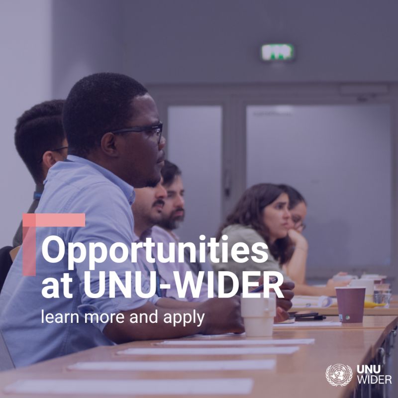 WIDER Opens Applications for Research Assistant Positions in South Africa and Public Finance Winter School for African Researchers 2026 company logo