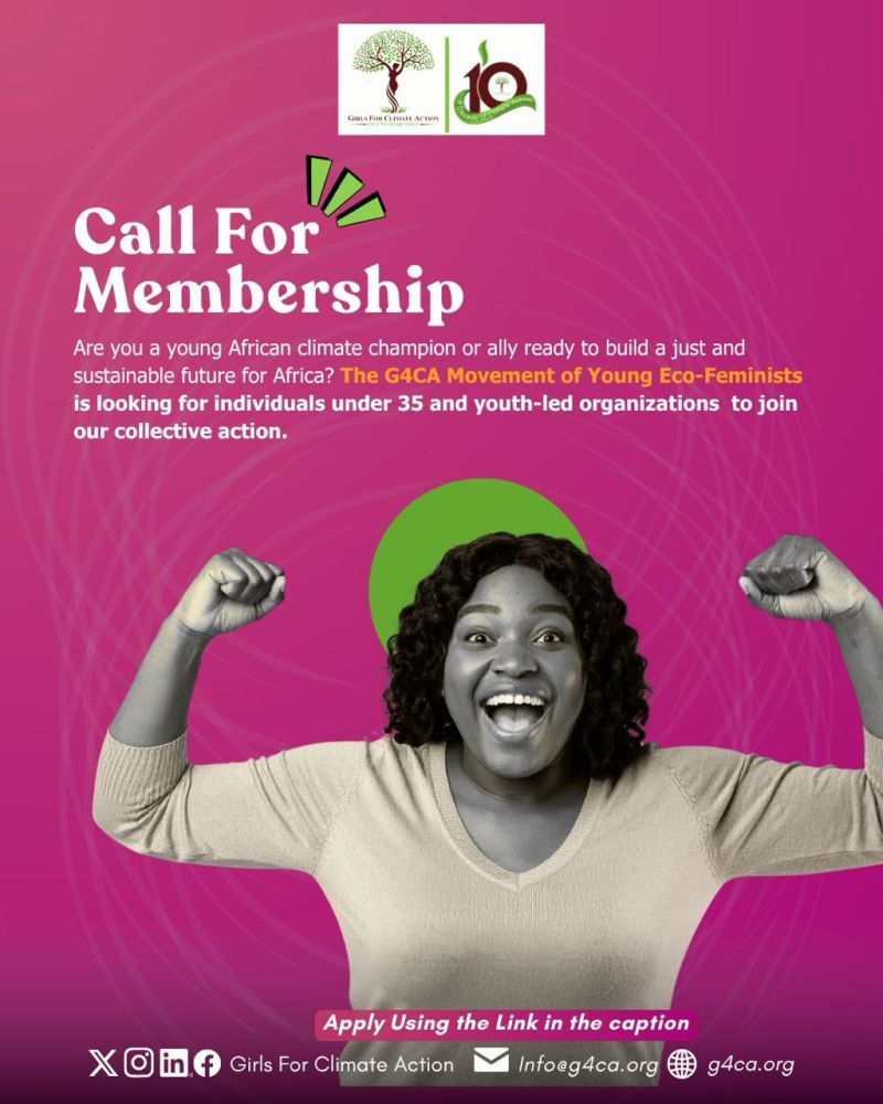 Feminist Climate Justice Leaders in Africa company logo