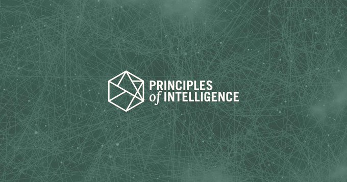 Principles of Intelligence (PrincInt)