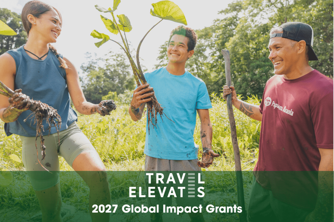 Travel Elevates company logo
