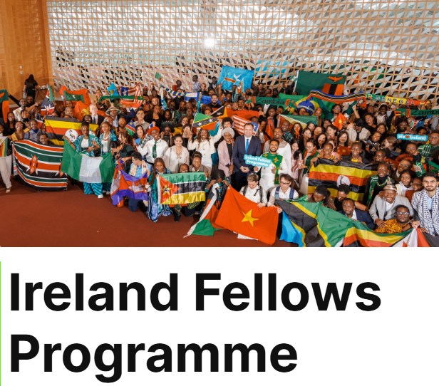 Ireland Fellows Programme company logo