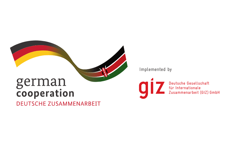 GIZ Kenya: Recruitment Open for Nairobi and Kakuma Positions in July 2026 company logo
