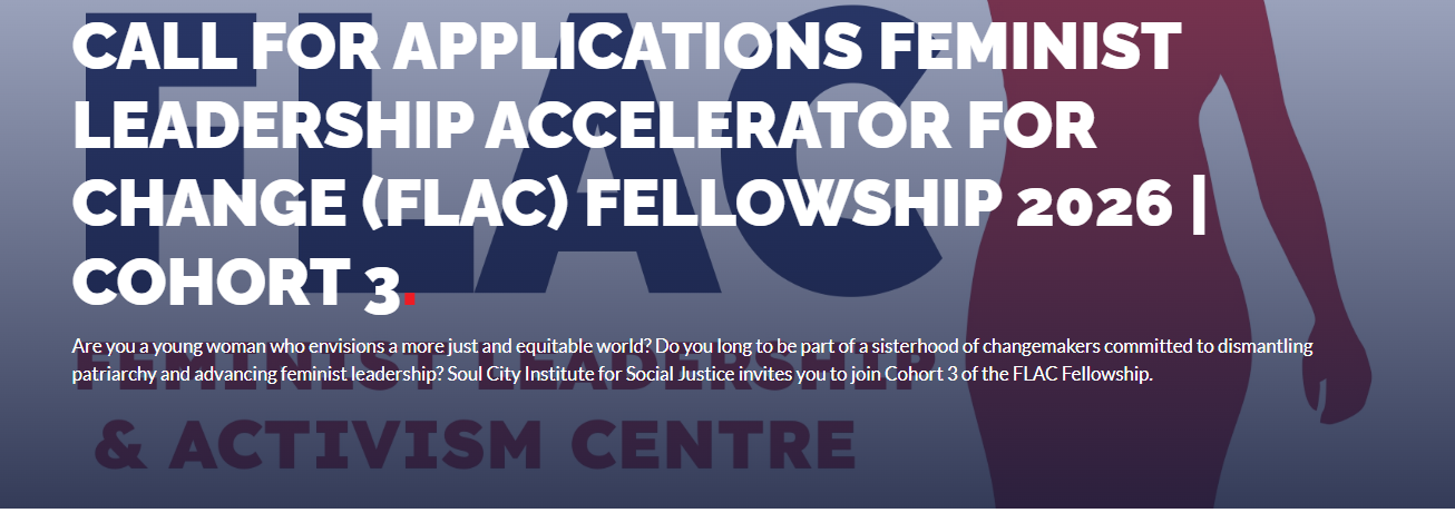 Soul City Institute for Social Justice