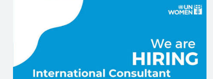 Based International Consultant on Gender-Inclusive Entrepreneurship Ecosystem Development: Apply 29 July 2026 company logo