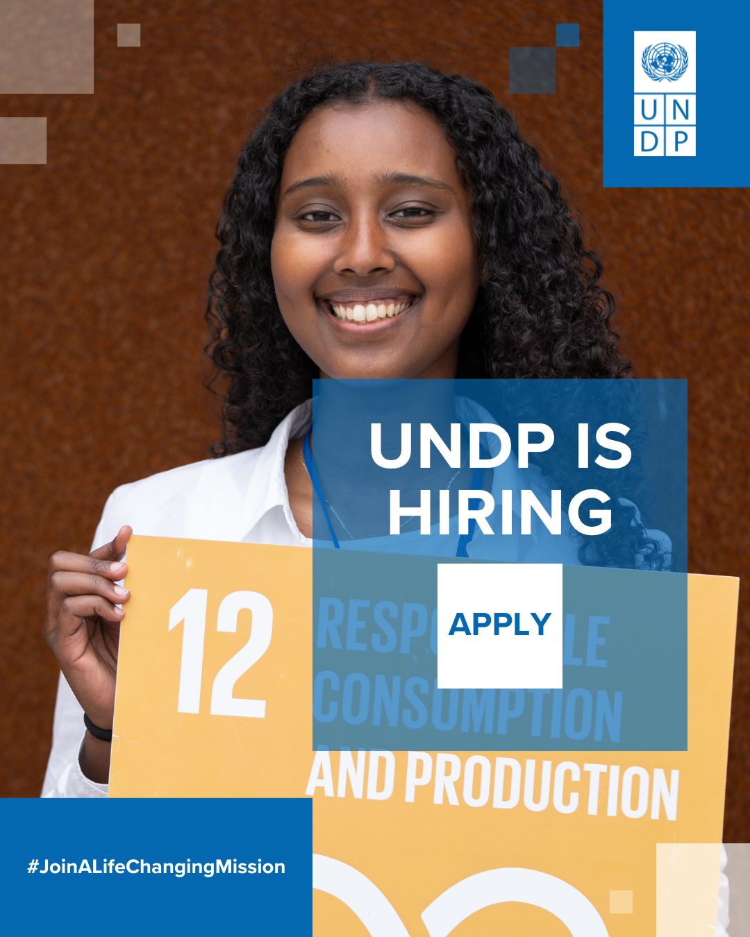 United Nations Development Programme (UNDP)