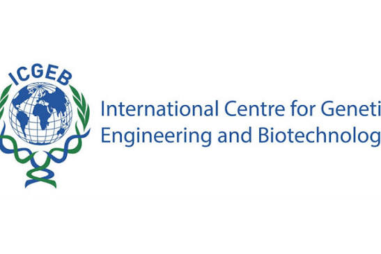 Term Research Opportunities
