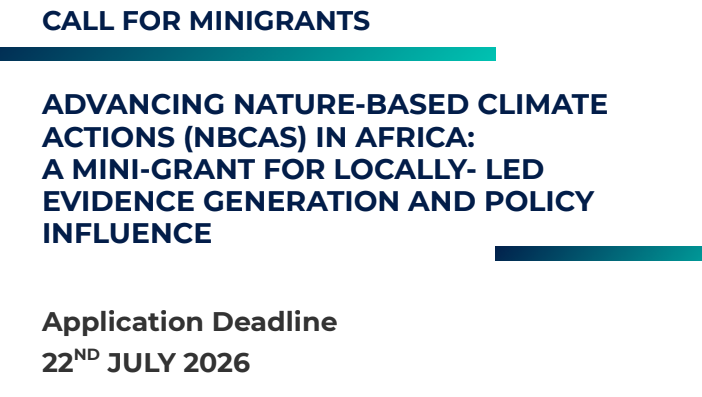 Africa Research and Impact Network (ARIN)